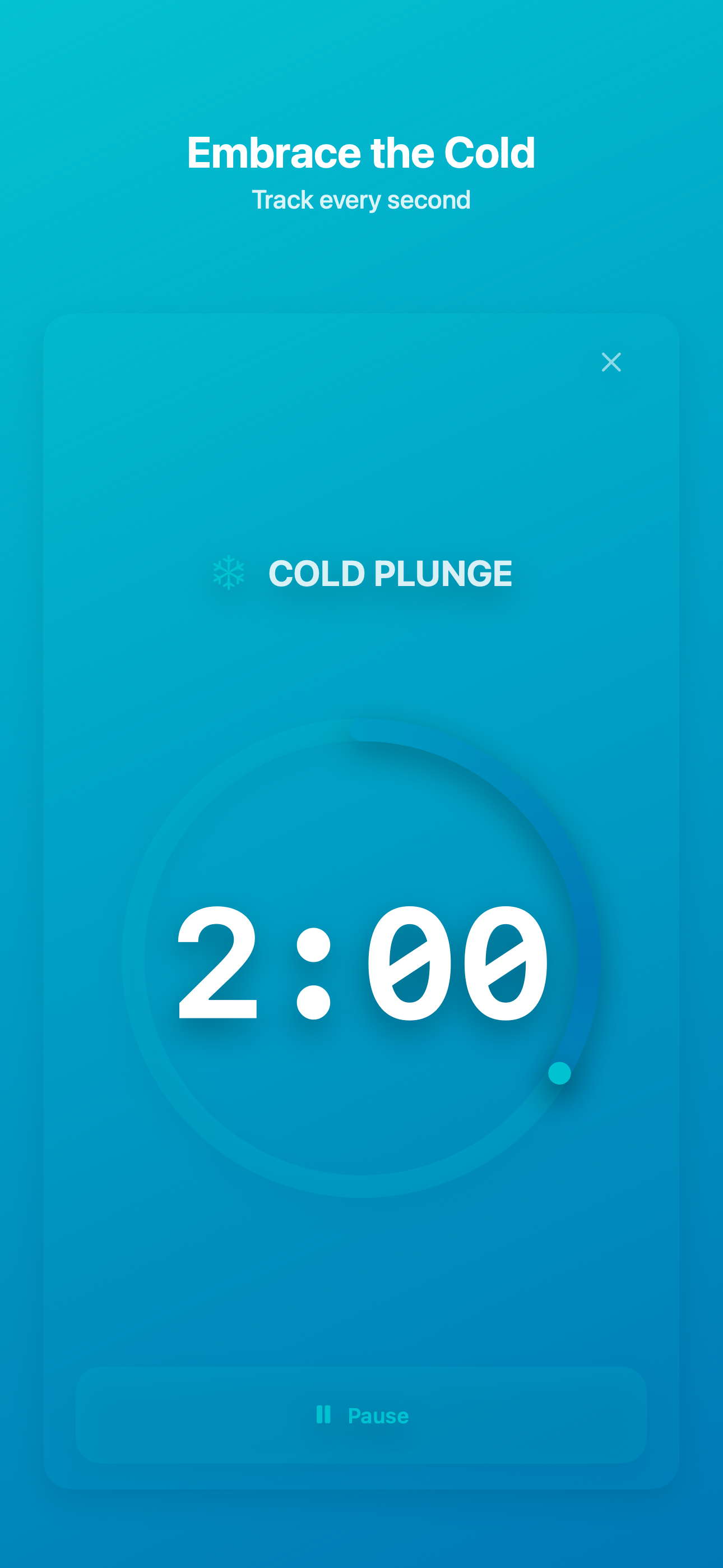 Active cold plunge timer