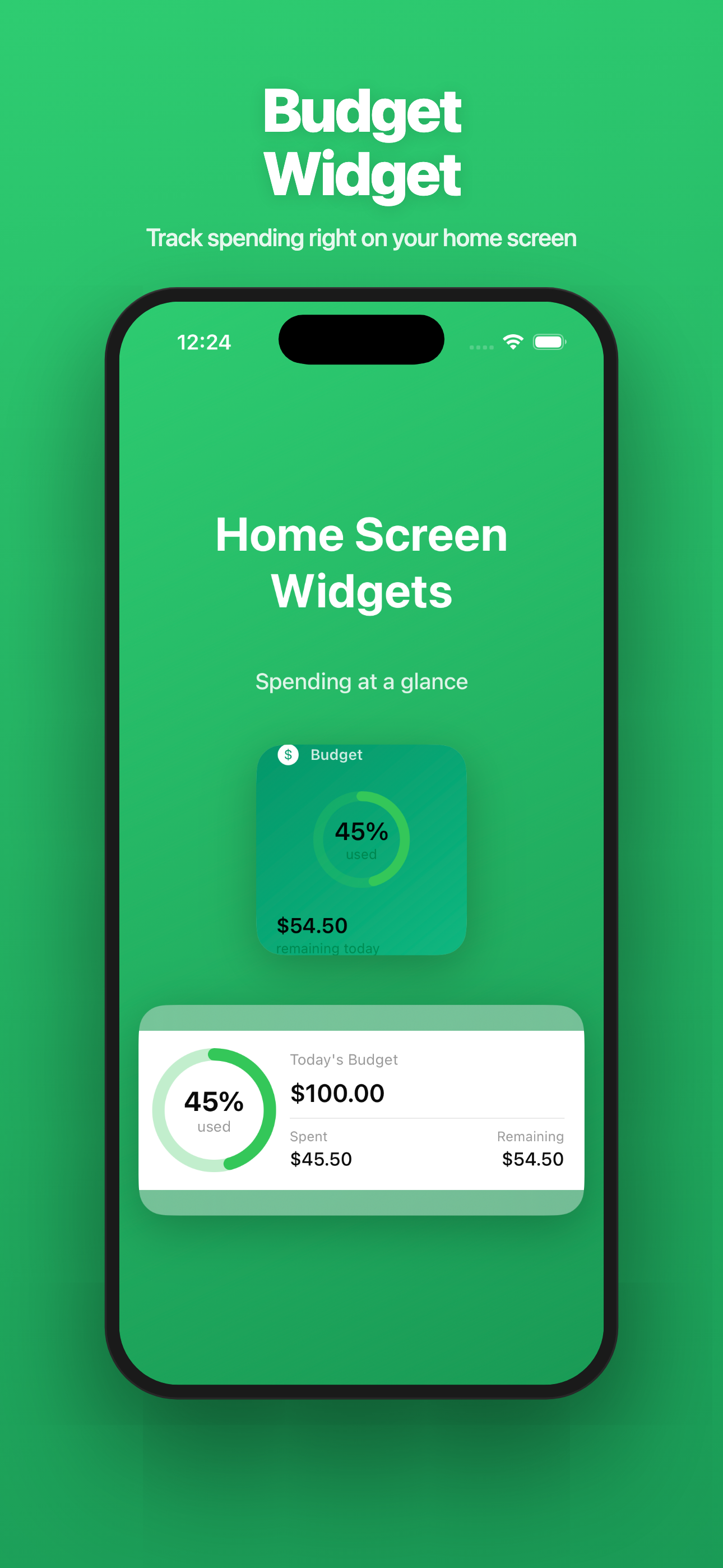 Spend Easy — Home Screen Widget